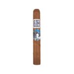 王朝羅拔圖
DYNASTY ROBUSTO - 图片 3