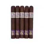 先鋒羅拔圖<br>PIONEER ROBUSTO - 图片 2