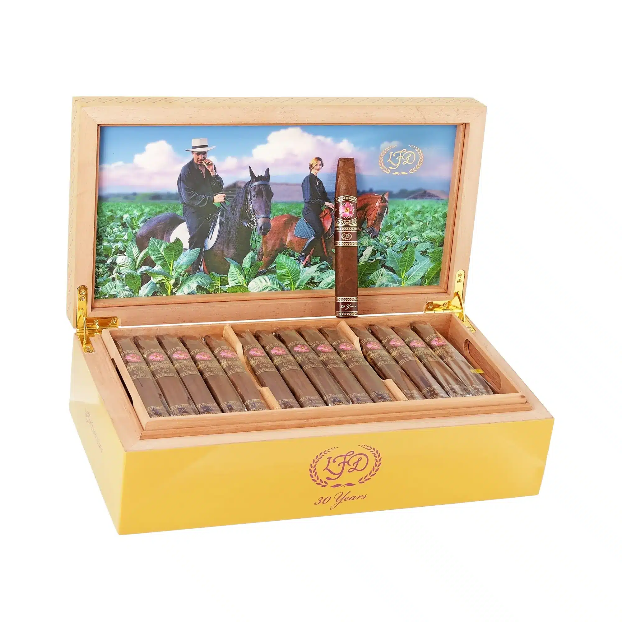 30-ANNIVERSARYHUMIDOR3.webp 30周年限定保湿盒<br>30 ANNIVERSARY(HUMIDOR) - 图片 1