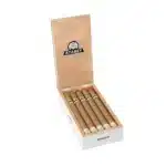 众神 长矛<br>Dioses Lancero