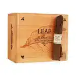 奥斯卡之叶 10周年纪念 克里奥罗<br>LEAF BY OSCAR 10TH ANNIVERSARY CRIOLLO SIXTY - 图片 2